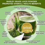 Amazing Pure Organic Barley